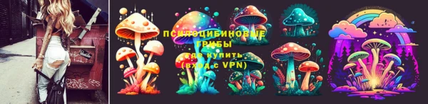 сатива Киреевск
