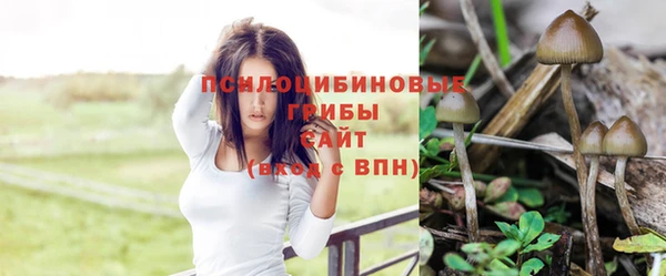 сатива Киреевск