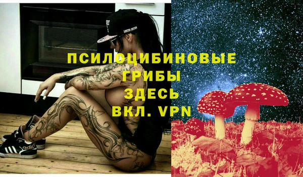 сатива Киреевск