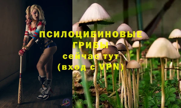 MDMA Premium VHQ Киренск