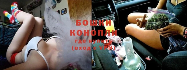 сатива Киреевск